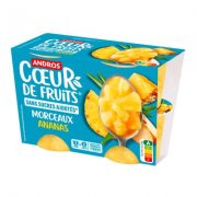 Andros – Desserts Fruitiers Coeur de Fruits Sans Sucres Ajoutés 4x100g