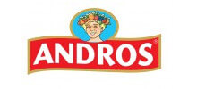 logo Andros ventes privées en cours