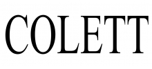 logo Colett ventes privées en cours