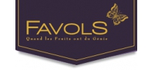 logo Favols ventes privées en cours