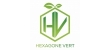 Hexagone Vert