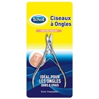 Promo Amazon Scholl