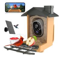 Promo Amazon Panneau Solaire