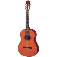 Promo Amazon Piano - Guitare - Percussions - Instruments de Musique & Accessoires