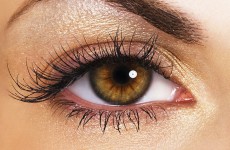 vente privée Rehaussement & teinture des cils - Eskale Beauté