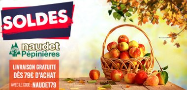 vente privée LES ESSENTIELS PLANTATIONS NAUDET
