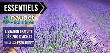 vente privée LES ESSENTIELS PLANTATIONS NAUDET