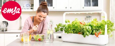 vente privée Potagers d'intérieur EMSA