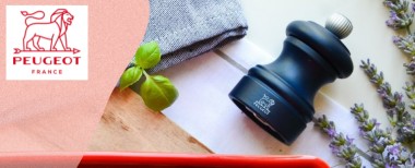 vente privée Peugeot Saveurs