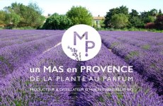 vente privée Visite - Ferme