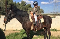vente privée Balade à poney avec préparation et brossage