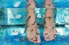 vente privée Beauté des pieds fish spa avec Spa Institut Jasmine