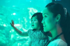 vente privée Pass annuel pour lAquarium de Paris