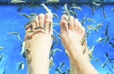 vente privée Des pieds tous doux