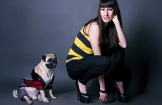 vente privée Shooting photo avec animal de compagnie