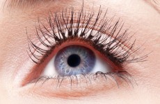 vente privée Extension ou rehaussement de cils avec À LEau Bike