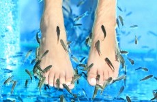 vente privée Séance de fishpedicure de 30 min
