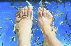 vente privée Soignez vos pieds avec une fish pédicure