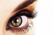 vente privée Rehaussement des cils avec teinture en option à Aloha esthétique