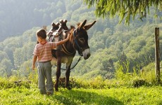 vente privée Balade à dos dâne pour enfant