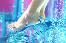 vente privée Fish spa et réflexologie