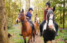 vente privée Balade à poney ou cheval en famille