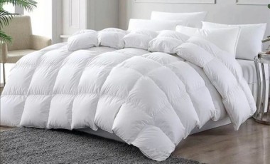 vente privée Couette en duvet d oie : Lit simple
