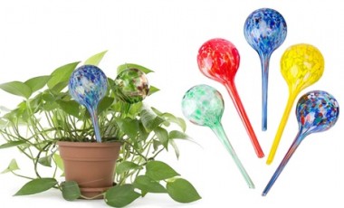 vente privée 1, 2 ou 4 globes auto-arrosants pour plantes