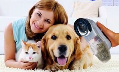 vente privée 1 ou 2 aspirateur-brosses de poils de chien et de chat