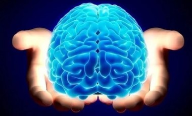 vente privée Formation en neurosciences