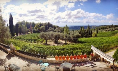 vente privée Pour 2 personnes : dégustation de 3 vins bio visite commentée du domaine viticole de 45 min 2 bouteilles offertes