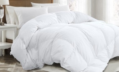 vente privée Couette 100% plumes : 200x200 cm