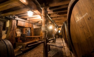 vente privée Visite du domaine avec dégustation de 8 vins en biodynamie et 1 bouteille à emporter pour 2 personnes