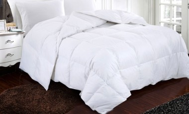 vente privée Couette 100% plumes de haute qualité : 220 x 240 cm