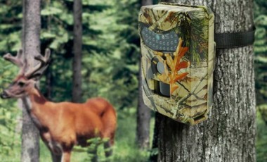 vente privée Caméra de surveillance pour animaux avec micro SD 32GB