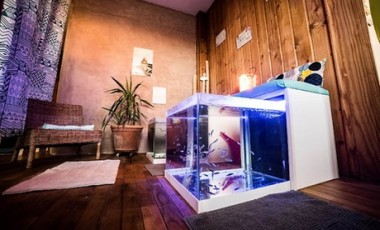 vente privée Soin Head spa de 45 min