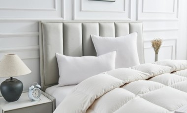 vente privée Oreiller microfibre. Sampur : 1 / 40 x 70 cm