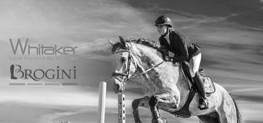 vente privée JOHN WHITAKER