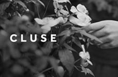 vente privée CLUSE