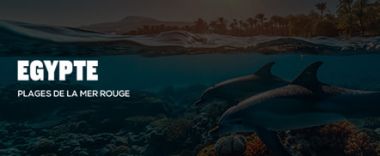 vente privée Découvrez la Mer Rouge en Égypte ! Plongée, plages paradisiaques et trésors ...