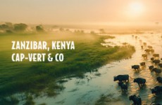 vente privée De Zanzibar au Kenya, une multitude de produits réservables toute l'année et r...