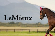 vente privée Vêtements d'équitation, tapis de selle, protections et jouets