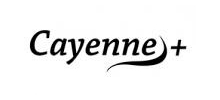 logo Cayenne ventes privées en cours