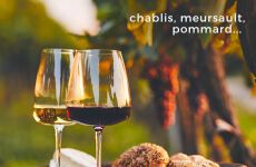 vente privée Chablis, Meursault, Pommard...