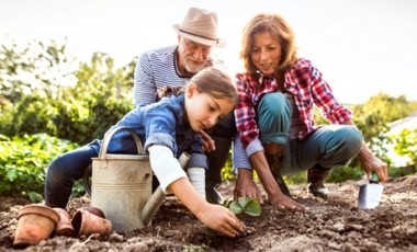 vente privée Cours de jardinage bio