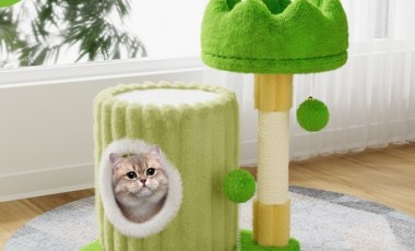 vente privée Arbre à chat : Vert