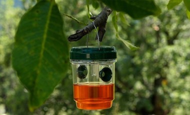 vente privée Piège à insectes solaire pour moustiques et guêpes: x1