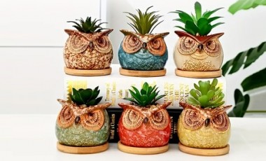 vente privée Ensemble de 3 pots de fleurs en céramique animaux : Petits hiboux