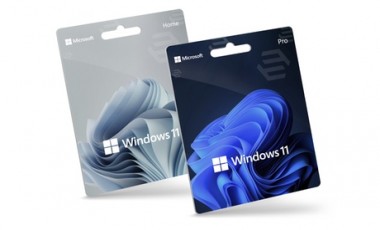 vente privée Microsoft Windows 11 : Home