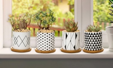 vente privée Lot de 3 pots de fleurs en céramique pour succulentes : Géométrique